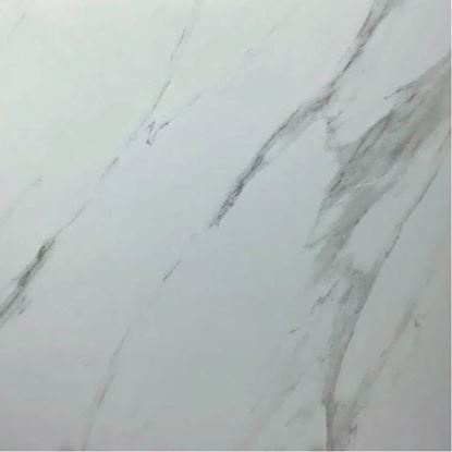 Picture of Carrara White Matt  6603