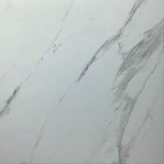 Picture of Carrara White Matt  6603