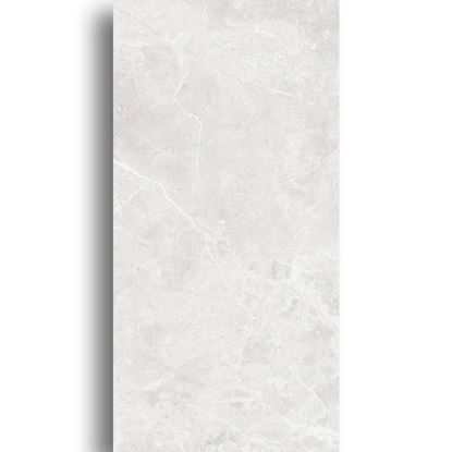 Picture of Venus Light Grey 400x800 GF-L88014