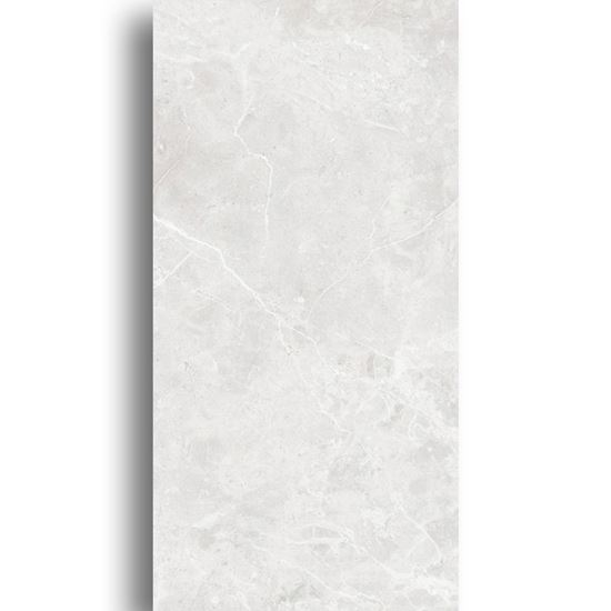 Picture of Venus Light Grey 400x800 GF-L88014