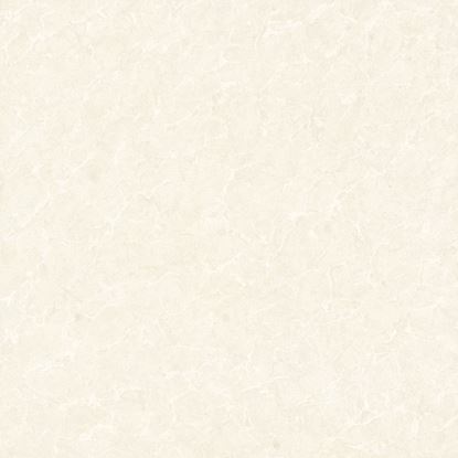 Picture of Guangzhu Polished Plain 600x600 GB12601