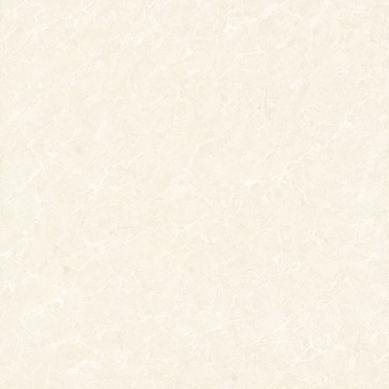 Picture of Guangzhu Polished Plain 600x600 GB12601