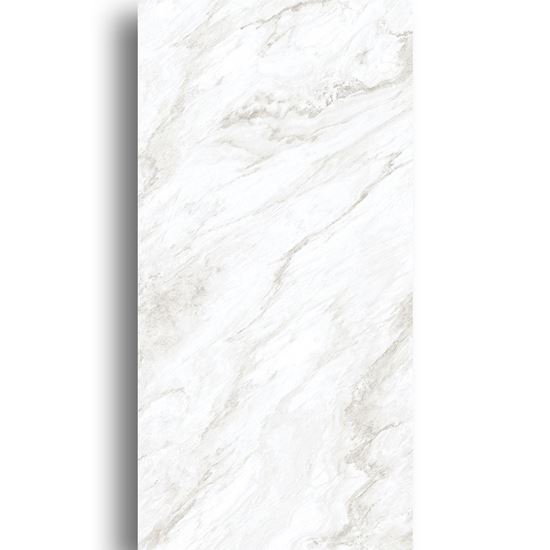 Picture of Calacatta Gold 400x800 SF-L80113