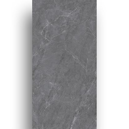 Picture of Master Grey 600x1200 126RJ018M1