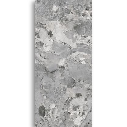 Picture of Casline Grey Natural 1200x2700x6mm GF-B271206-167