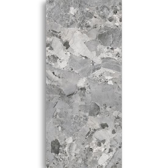 Picture of Casline Grey Natural 1200x2700x6mm GF-B271206-167