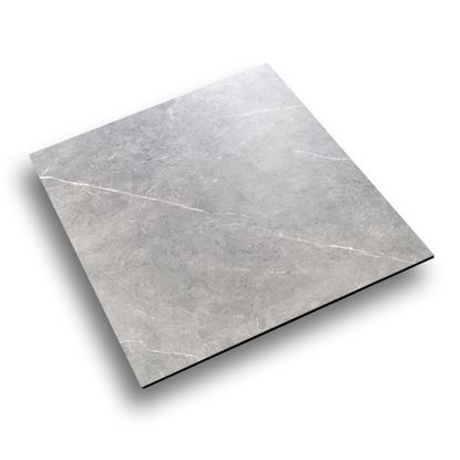 Picture of Stone Light Grey Matt 600x600 FTD68013