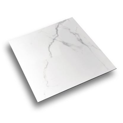Picture of Carrara White Polished 600x600 FTDXH6600P