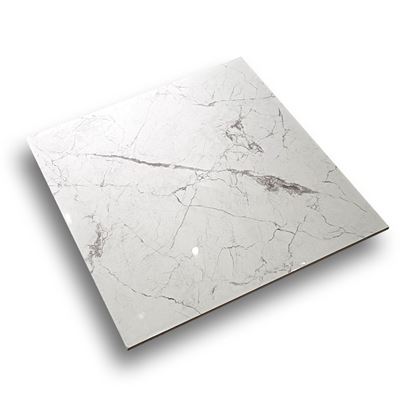 Picture of Art White Polished 600x600 FTDCB6Y204