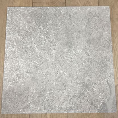 Picture of NPT Dark Beige Matt P4 600x600 FTDMT66605M