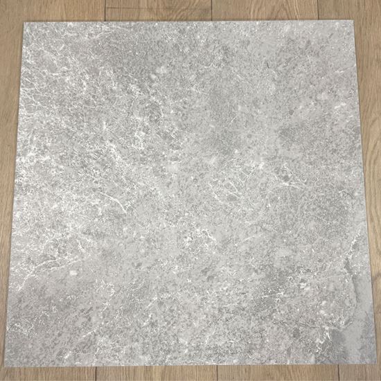 Picture of NPT Dark Beige Matt P4 600x600 FTDMT66605M