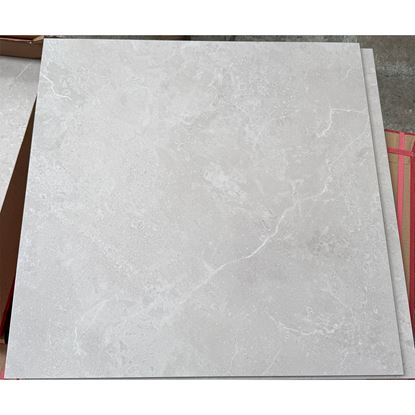 Picture of NPT Light Beige Matt P4 600x600 FTDLK66603M