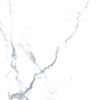 Picture of Carrara White Polished 600x600 FTDXH6600P