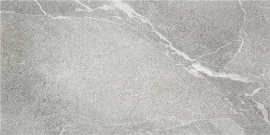 Picture of Bodo Grey Slipstop 60X120