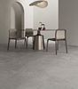 Picture of Alba Silver Natural 60X60
