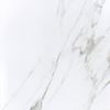 Picture of Calacatta Oro Polished 60脳60