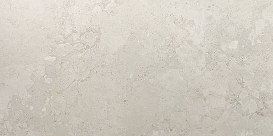 Picture of Legacy Bone Natural 60X120