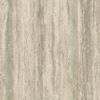 Picture of Navona Vein Candido Natural 60脳60