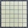 Picture of Tokyo Sage Mosaic 30脳30