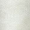 Picture of Cosmic White Natural 60X60