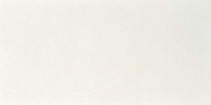 Picture of Prestige White Natural 60X120