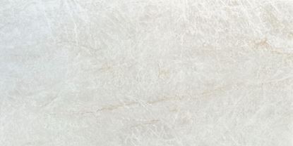 Picture of Taj Mahal Shell 60X120